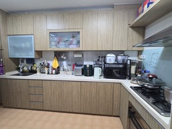 Blk 163B Punggol Central (Punggol), HDB 5 Rooms #528707131